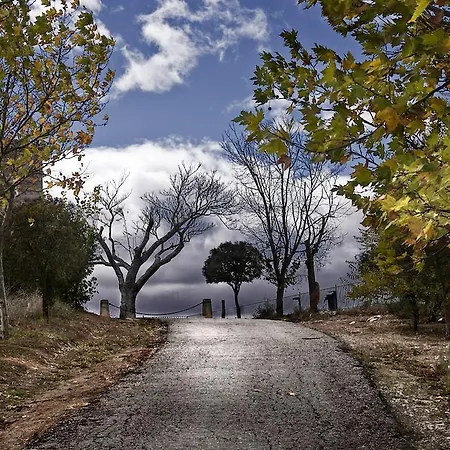 Rural El Salero